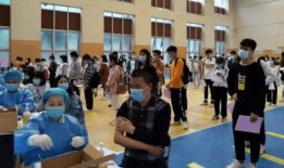 杨展最新爆料消息,揭秘娱乐圈惊人内幕